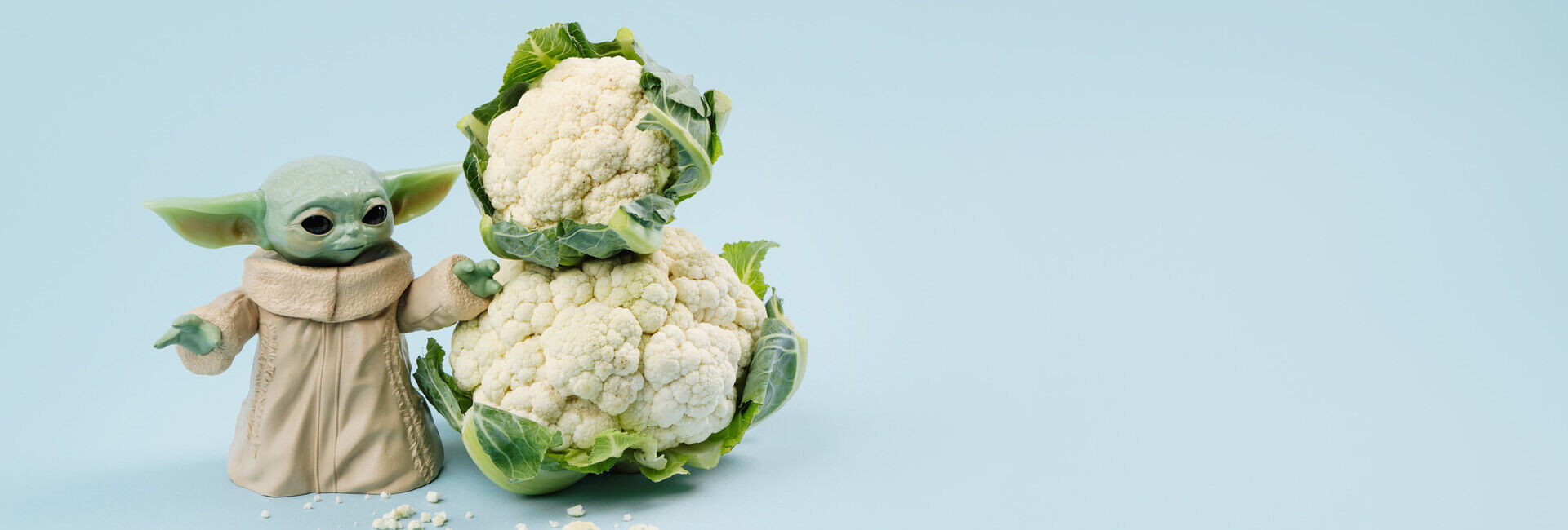 Blumenkohl: Everybody’s Darling!