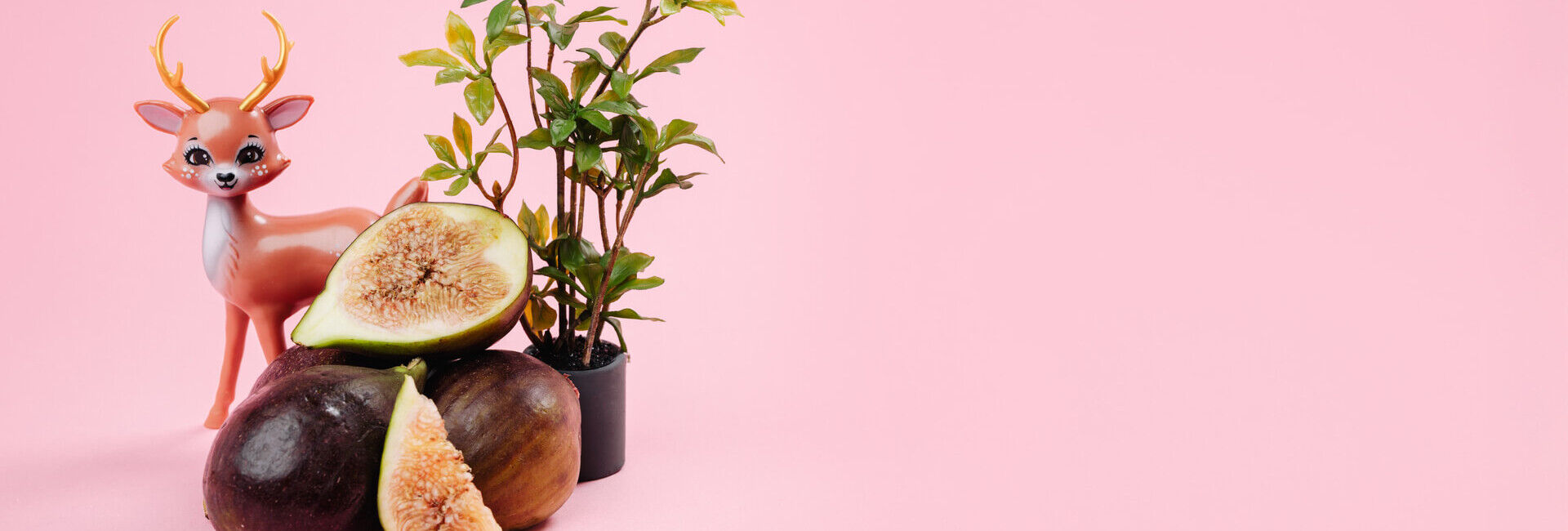 Feigen: Von Göttern geliebt