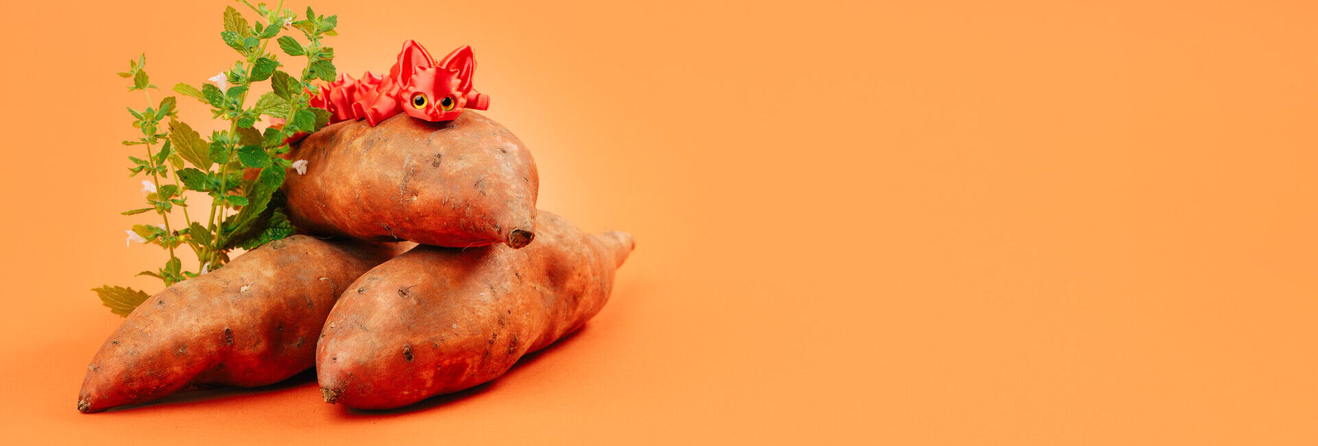 Süsskartoffel: Sweet Home Potatoe!