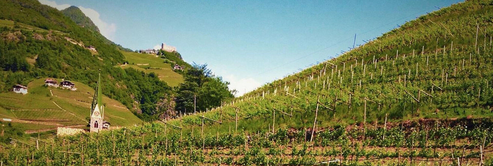 Typisch Südtirol: Vernatsch und Lagrein